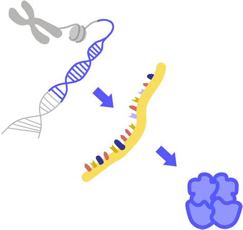 Genome Advisory Resources