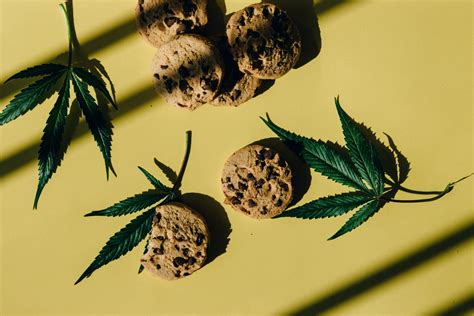 Où trouver les meilleures huiles de CBD produits vendus en EU