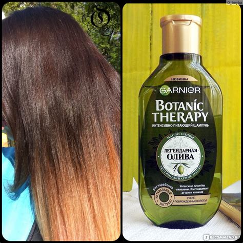 Шампунь Garnier Botanic Therapy Интенсивно питающий "Легендарная олива ...
