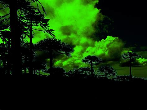 EcoworldReactor: Of Monsters and Men Dirty Paws LIVE