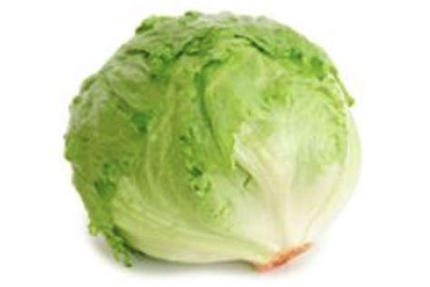 Lechuga Romana Lactuca Sativa L Var Longifoli Fundaci N Salom N