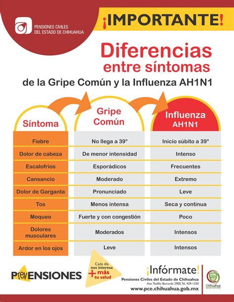 O Que É Gripe Influenza - Diferencia entre síntomas de la Gripe Común y la Influenza AH1N1 - PCE
