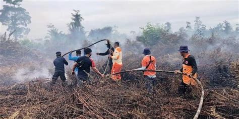 Tujuh Hektare Lahan Gambut Di Nagan Raya Terbakar