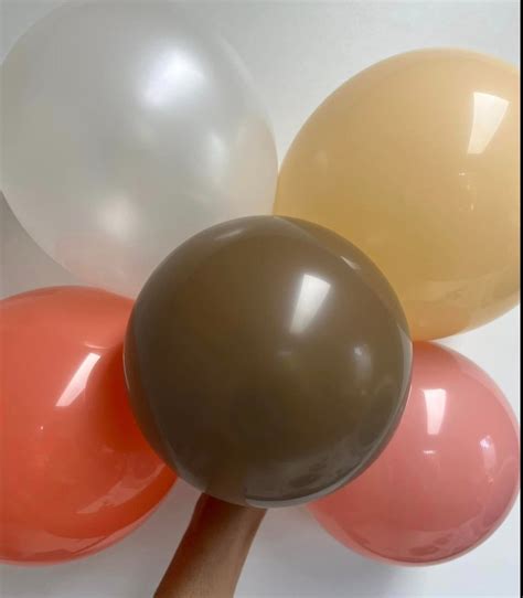 Luna Balunas Set Retro Ballonnen Feest Versiering Bruin Wit Nude Lentefeest Communie Bol