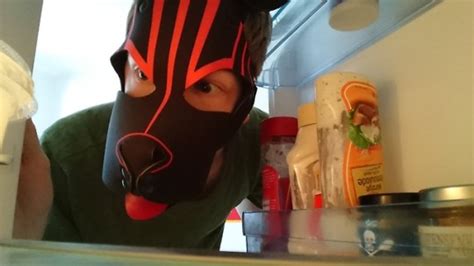 Gay Pups Chips Conan Nsfw On Tumblr