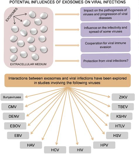 Figure From Extracellular Vesicles In Host Pathogen Interactions And