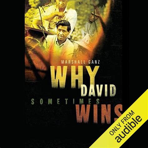 Why David Sometimes Wins Leadership Organization And Strategy In The California Farm Worker Movementwhy David Sometimes Winspaperback