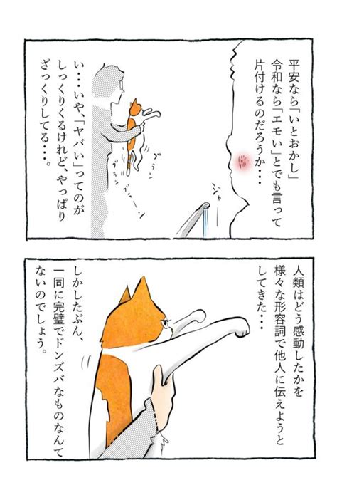 ＜画像1 12＞【猫ちゃんの謎】されるがまま…猫の“ブランブラン”な姿はなぜこんなにかわいいの？｜ウォーカープラス