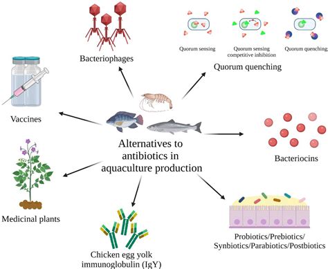 Review Of Alternatives To Antibiotic Use In Aquaculture Bondad