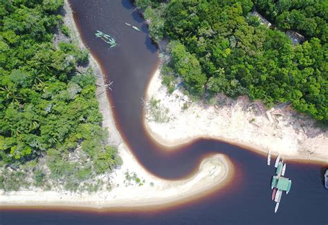 Parque Nacional De Anavilhanas The Brasilians