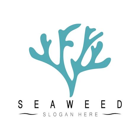 Premium Vector Seaweed Vector Illustration Template