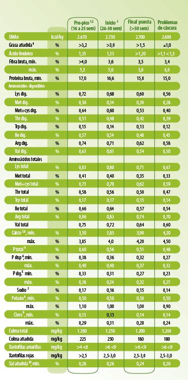 Arriba Imagen Requerimientos Nutricionales De Pollos De Engorde