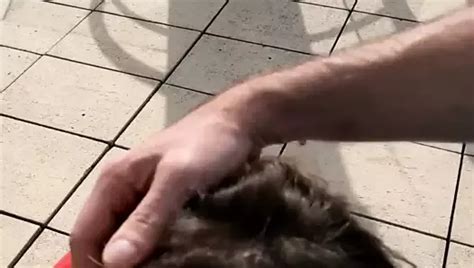 Rumena Spompina Autista Pulmino Per Tg Mures Free Porn C Xhamster