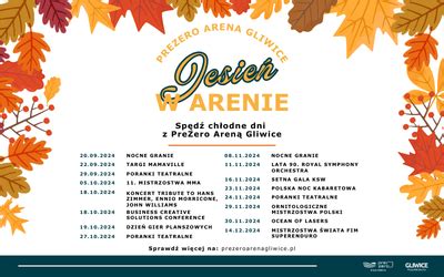 Gor Ca Jesie W Prezero Arenie Gliwice Prezero Arena Gliwice