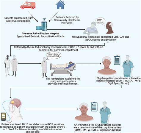 Frontiers TDCS Over The Left Prefrontal Cortex Improves Mental