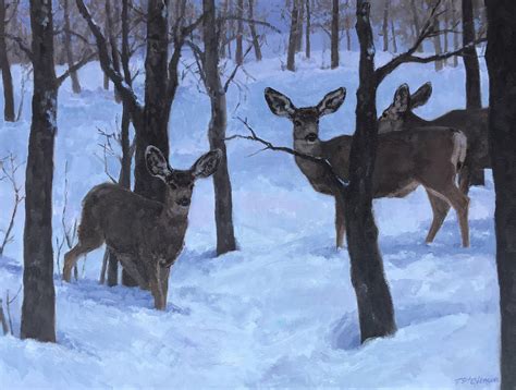 Wilcox Gallery