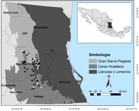 Potential Distribution Of Margay Leopardus Wiedii Schinz 1821 In