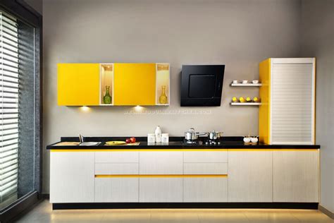 popular types  modular kitchen layouts dmk