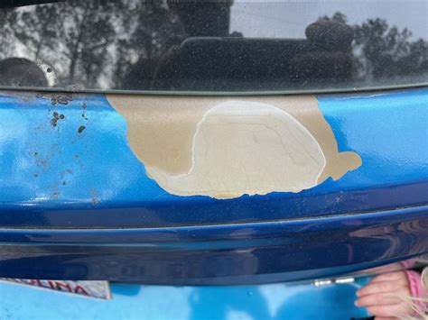 Paint Peeling Advice Rautobody
