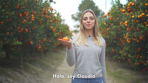 Por qué comprar clementinas españolas con hoja / Why buy Spanish ...