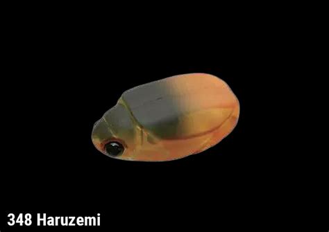 BASSDAY BUN Compact Insect Bait NEW - KKJAPANLURE