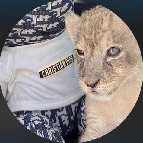 Stream 4w3 music | Listen to songs, albums, playlists for free on ...