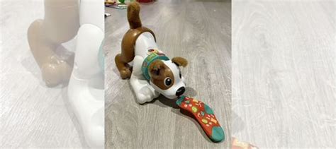 Fisher price собака купить в Москве | Личные вещи | Авито