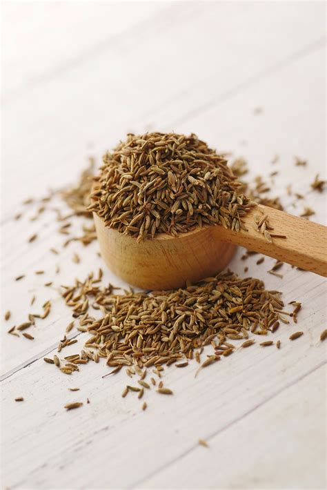 cumin seeds  unveiling  aromatic world  comprehensive faq