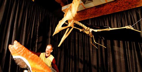 Terrifying Pterosaurs Were Fragile In Flight Dawncom