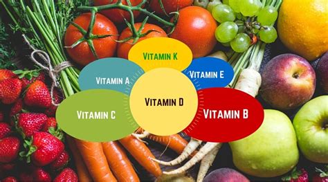 Unsere Vitamine: 13 Stoffe für ein Leben - Keinsteins Kiste