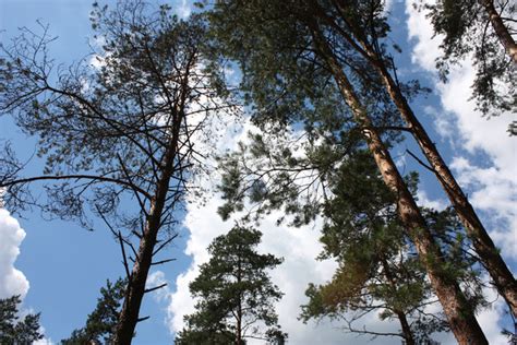 W Polsce Powstanie Nowy Park Narodowy Pierwszy Od 20 Lat Dziennik Pl