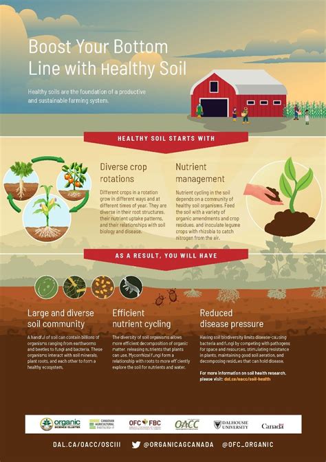 Infographics - Organic Agriculture Centre of Canada - Dalhousie University