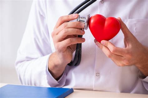 The Male Doctor Cardiologist Holding Heart Model Stock Image Image Of