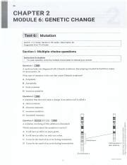 Understanding Genetic Change Mutation Types Effects Course Hero