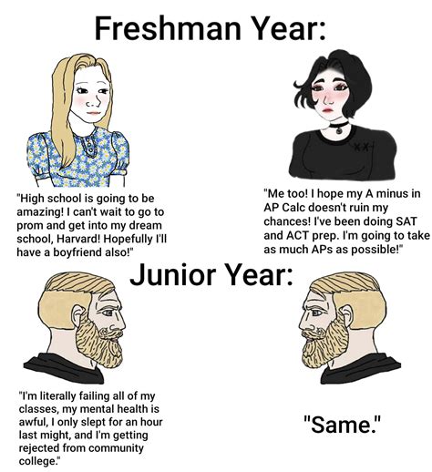 Freshman Year vs Junior Year lol : r/APStudents