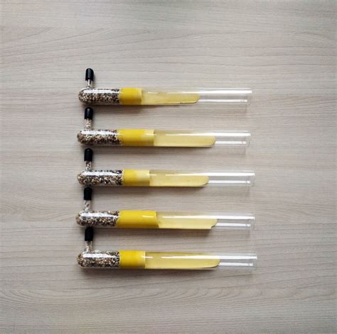 Гипсовый инкубатор ⌀21мм для муравьев купить