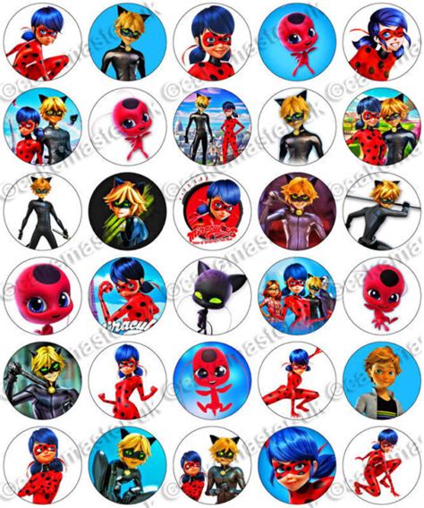 30 X Miraculous Ladybug Cat Noir Edible Rice Wafer Paper Cupcake