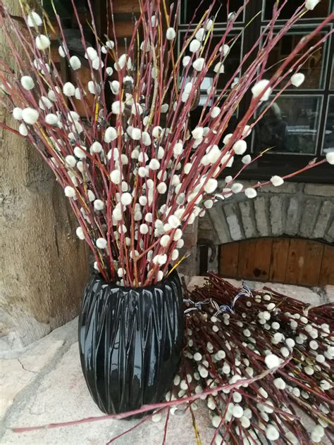 Pussy Willow Stems Easter Decor Dried Pussy Etsy