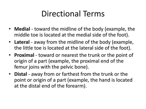 Proximal Means Situated Nearest The Midline Or Beginning Of A 6