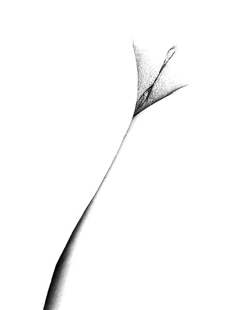 Weird And Unusual Porn Pictures XXX Photos Sex Images 361590 PICTOA