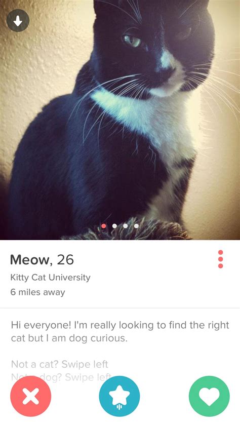 Pussy Meme By Heaversworld Memedroid