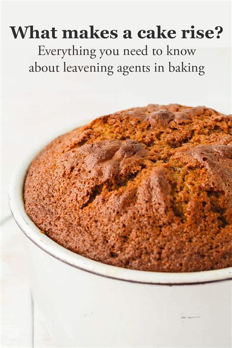 The Complete Guide To Leavening Agents And Chemical Leaveners The