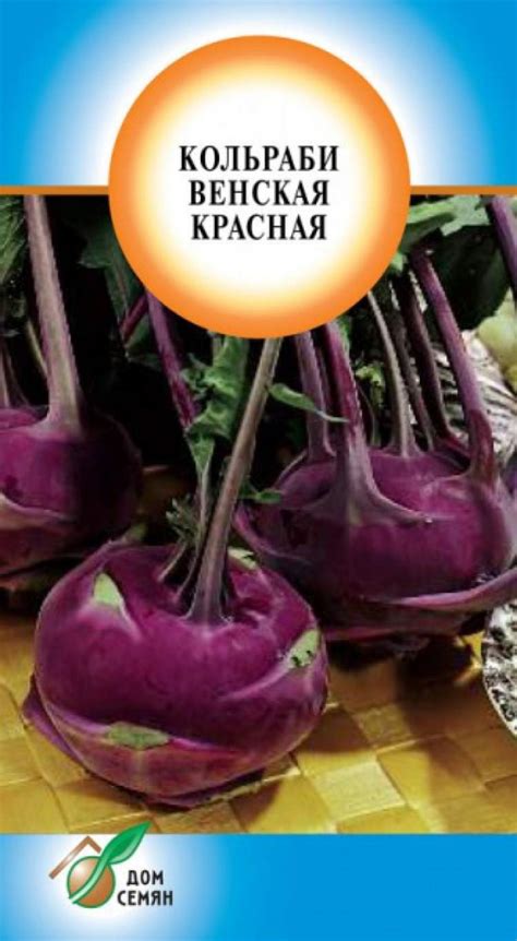 Купить семена Капуста кольраби Венская красная (дс) 130шт — доставка по ...