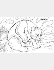 Раскраска Азия распечатать