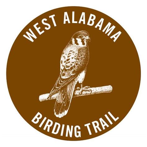 West Alabama Birding Trail Sightings Alabama Birding Trails