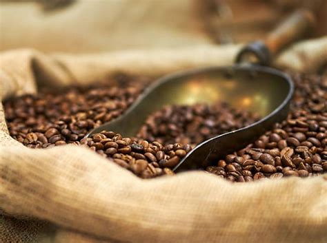 Berita Dan Informasi Alasan Mengapa Kopi Pahit Terkini Dan Terbaru Hari