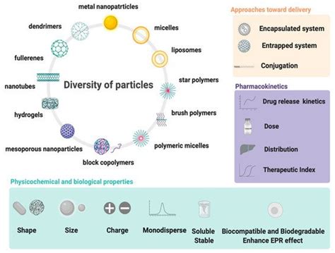 Polymers Free Full Text Recent Advances In Functional Polymer