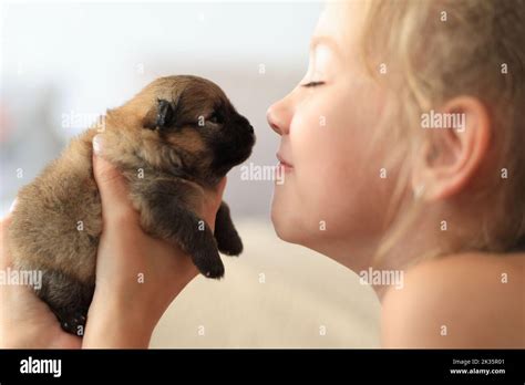 Jolie fille blonde et son chien Banque de photographies et dimages à haute résolution Alamy