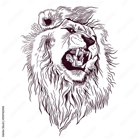 Roaring Lion Head Side View Lion Drawing Lion Art Lion Head Drawing