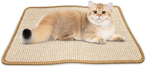 Frevoitna Tapis Griffoir Pour Chat Tapis Griffoir Chat X Cm